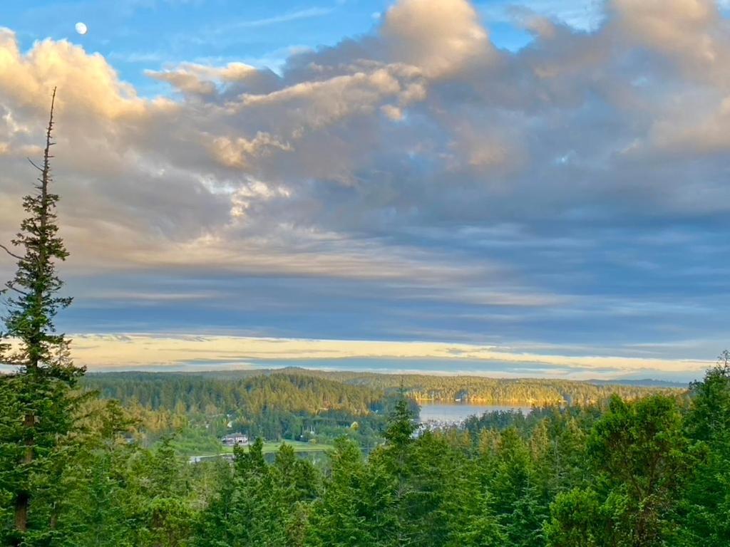 Madrona Suite Eastsound Eksteriør bilde